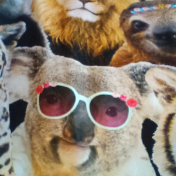 Secret Treasures Animal Print Pajamas Super Soft XXL Funky PJs - Picture 7 of 10